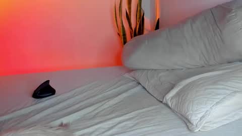 -  A N D E R online show from November 2025 03:52:02 AM