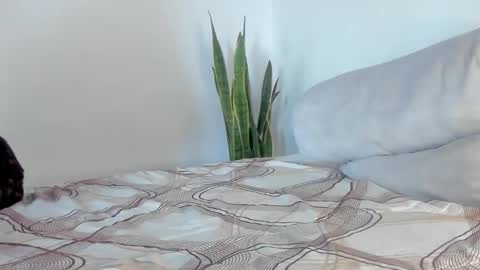 -  A N D E R online show from January 2026 02:00:02 PM