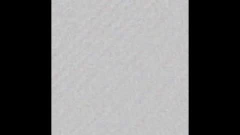 Falkor online show from March 2026 07:42:02 PM