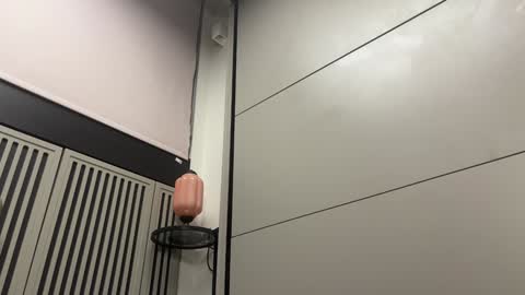 Gattino online show from December 2024 11:37:01 PM