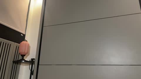 Gattino online show from March 2025 07:31:02 PM