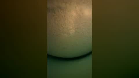 fatdaddiii online show from August 2026 11:53:01 PM