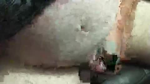 fatdaddy4you online show from September 2025 03:35:02 PM