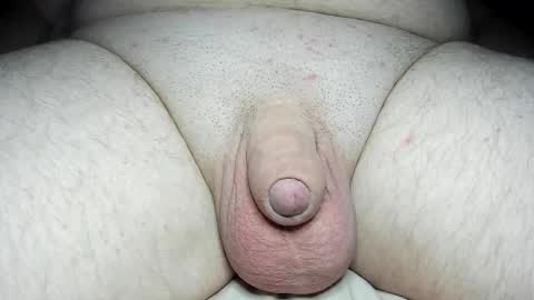 Snapshot of fatmanscock chatting on January 2025 04:51:02 AM Fatmanscock online show from January 2025 04:51:02 AM