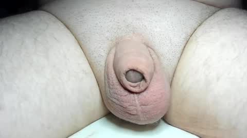 Snapshot of fatmanscock chatting on February 2025 05:53:02 AM Fatmanscock online show from February 2025 05:53:02 AM