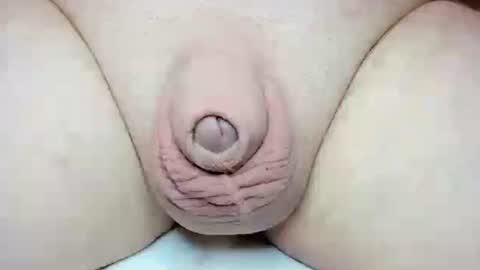 Snapshot of fatmanscock chatting on October 2025 03:34:01 AM Fatmanscock online show from October 2025 03:34:01 AM