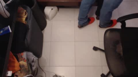 FC91 online show from March 2026 09:15:01 AM