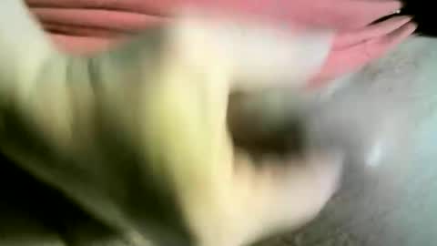 felicaste online show from March 2025 12:26:02 PM