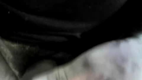 felicaste online show from October 2025 09:26:01 PM