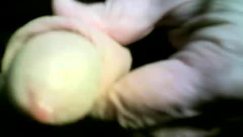 Snapshot of felicaste chatting on April 2026 09:18:02 PM felicaste online show from April 2026 09:18:02 PM