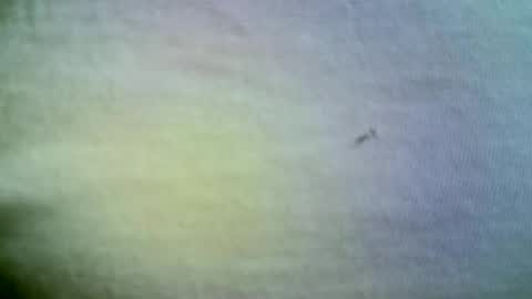 Snapshot of felicaste chatting on April 2026 11:38:01 AM felicaste online show from April 2026 11:38:01 AM