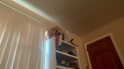 Snapshot of felicitybliss29 chatting on December 2024 08:50:01 PM felicitybliss29 online show from December 2024 08:50:01 PM