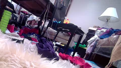 Snapshot of felicitybliss29 chatting on February 2025 03:47:02 AM felicitybliss29 online show from February 2025 03:47:02 AM