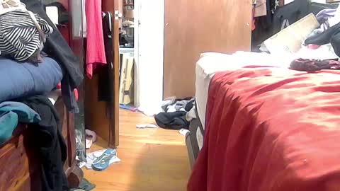 Snapshot of felicitybliss29 chatting on October 2025 04:57:02 AM felicitybliss29 online show from October 2025 04:57:02 AM