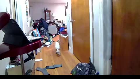 Snapshot of felicitybliss29 chatting on November 2025 04:24:02 AM felicitybliss29 online show from November 2025 04:24:02 AM