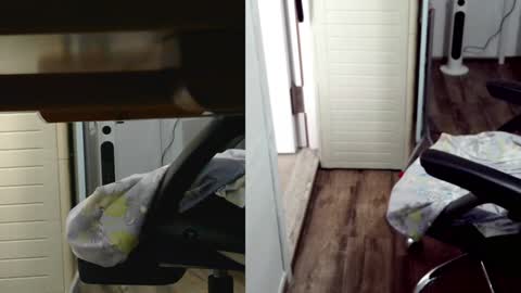 felixlau online show from February 2025 07:51:02 AM