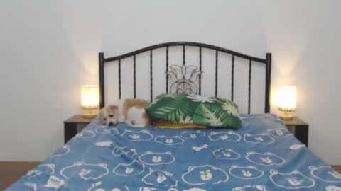 kaylee online show from February 2025 11:22:02 PM