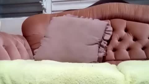 Feo.g online show from November 2025 01:44:01 AM