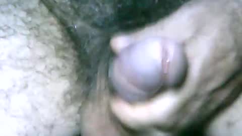 fer_2197 online show from January 2025 04:29:01 PM