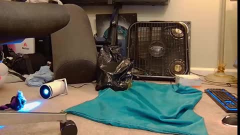 FE fee online show from October 2025 06:00:02 AM