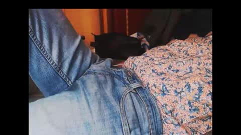 ferra_testarossa online show from September 2025 03:06:02 AM