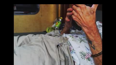 ferra_testarossa online show from October 2025 05:05:02 AM