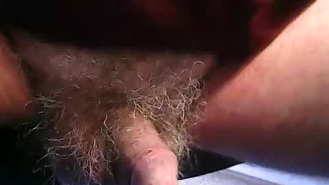 Snapshot of fh1963 chatting on February 2026 12:16:01 PM fh1963 online show from February 2026 12:16:01 PM