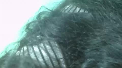 Snapshot of fifaalydia chatting on November 2025 07:57:01 PM fifaalydia online show from November 2025 07:57:01 PM