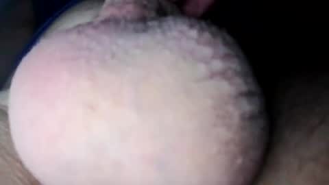 Nick online show from February 2025 09:46:01 PM