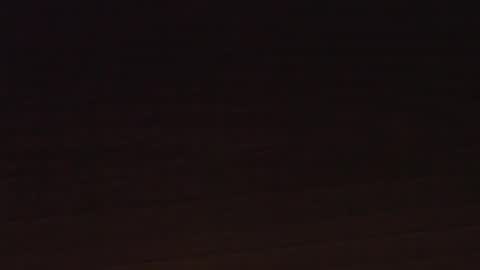 fillippocco online show from November 2025 08:35:02 PM