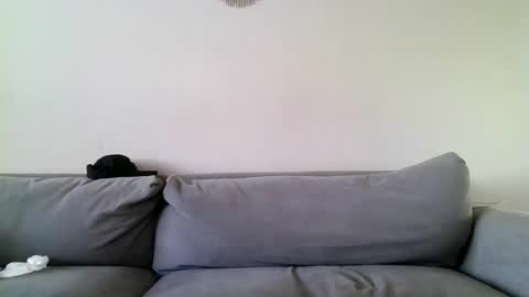 Snapshot of filthymilfndaddy chatting on December 2024 06:53:01 PM MilfnDaddy online show from December 2024 06:53:01 PM