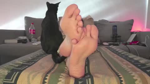 Ashley online show from March 2025 08:12:01 PM