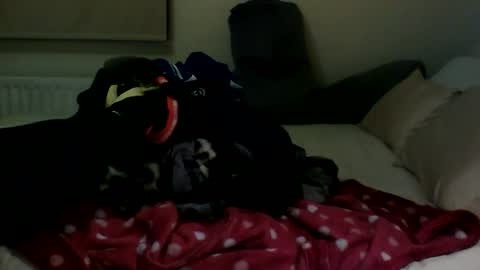 Fitbut online show from January 2025 07:48:02 PM