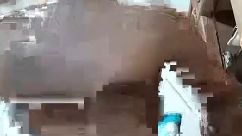 fitchestabs_69 online show from December 2024 03:25:01 AM