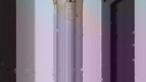 fitchestabs_69 online show from April 2026 09:43:01 PM