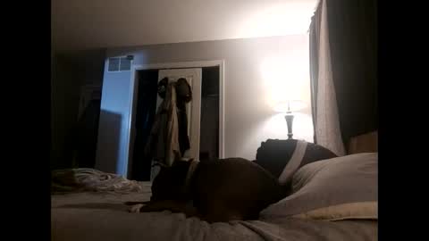 Nate online show from November 2025 04:48:01 AM