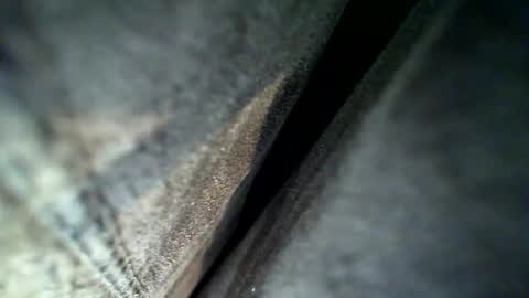 flash online show from February 2026 04:13:02 AM