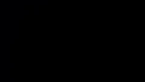 fleud online show from May 2026 05:04:02 AM