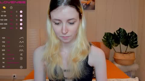 FlexiMona online show from December 2024 09:46:01 AM