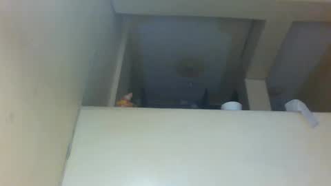 Amber online show from November 2025 12:19:02 PM