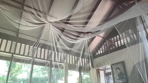 Snapshot of fluffy_bunnyxxx chatting on February 2025 05:35:02 AM fluffy_bunnyxxx online show from February 2025 05:35:02 AM