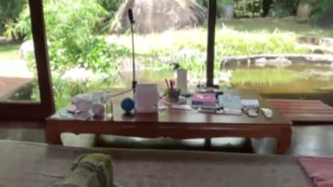 Snapshot of fluffy_bunnyxxx chatting on February 2025 05:13:02 AM fluffy_bunnyxxx online show from February 2025 05:13:02 AM