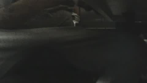 Snapshot of fonixxx69 chatting on May 2026 08:33:02 AM fonixxx69 online show from May 2026 08:33:02 AM