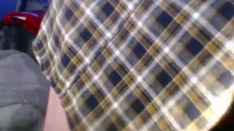 forestnymphpdx online show from December 2024 08:55:01 AM