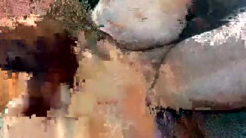 foxhole23 online show from September 2025 10:59:01 AM