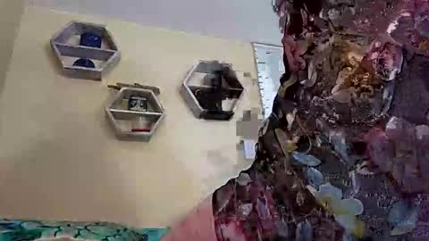 foxyanjel online show from October 2025 04:00:01 PM