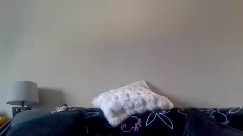 foxyfang online show from March 2025 01:16:02 PM