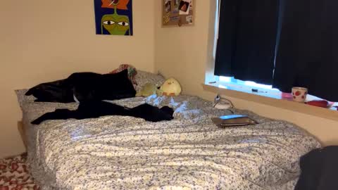 beautiful blair online show from January 2025 07:18:02 PM