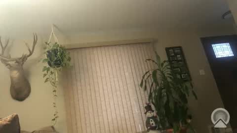 Frank online show from January 2026 01:15:02 PM