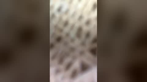 Snapshot of fransicus1988 chatting on March 2026 09:46:01 AM fransicus1988 online show from March 2026 09:46:01 AM